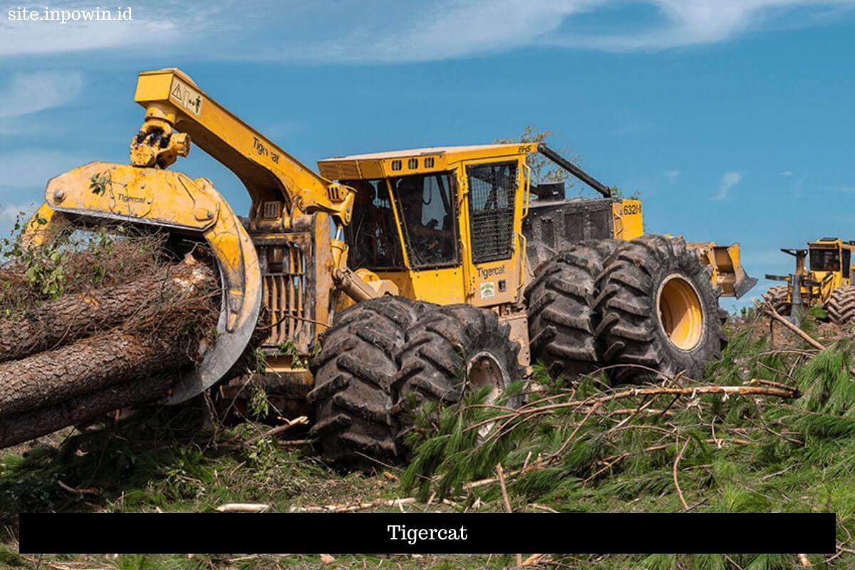 Modern Forestry Equipment For Sustainable Logging